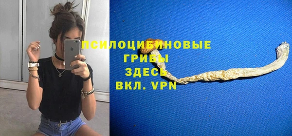 бутират Алзамай